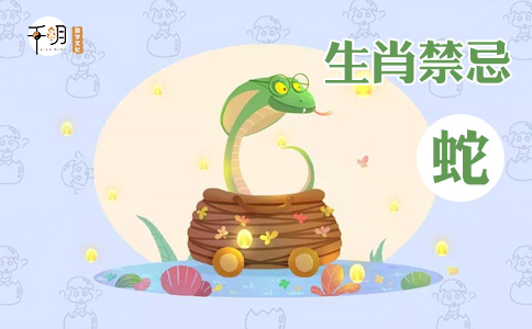 属蛇的今年的财运如何