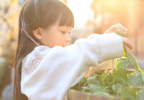 姓倪女孩子取名字大全