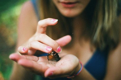 对于女孩来说取名比起男孩有更多的选择性，女孩可以有温柔文静的名字也可以有帅气俊朗的名字。在大多数的家长眼里一开始给女孩取名的话偏向于温柔文静的会多一点。女孩的大众形象也就是甜美、温柔、文静、弱不禁风、温文尔雅等等。名字美起来的话，似乎更有“女神范儿”了。   娱乐圈中有不少的女星的名字就是很有“范儿”的：  安悦溪：“悦”本义指高兴、愉快。寓意希望孩子生活愉快、乐观。“溪”本义小河。寓意希望孩子灵动。  江疏影：“疏影横斜水清浅，暗香浮动月黄昏”。“疏影”还是词牌名。本义疏朗的影子，用作名字中诗意感足足的。  白百何：“百合”代表百合花。寓意高贵，纯洁。  沈傲君：“傲”本义傲骨、不卑不屈。“君”本义君子之气节。寓意不卑不屈的君子之风。名字略带“霸气”感。  张静初：“静”本义指安静不动，寓意平心静气、与世无争;“初”本义开始，寓意第一。  俞飞鸿：“人生到处知何似，应似飞鸿踏雪泥。泥上偶然留指爪，鸿飞那复计东西”。  女孩温柔文静的名字常用字推荐：  雅：本义高尚、不粗俗。寓意高雅、文雅。“温文尔雅”、“举止娴雅”。女星中有赵雅芝、黄雅莉、马雅舒。  丽：本义美丽、好看。寓意孩子有俊秀的外貌。“天生丽质”、“丰姿冶丽”。女星中有赵丽颖、王丽坤、蒋雯丽。  冰：本义晶体。寓意希望孩子如冰一样的纯洁。“冰清玉洁”、“冰肌玉骨”。女星中有范冰冰、白冰、李冰冰。  婷：本义秀美的样子。寓意女孩样貌俊俏。“娉婷袅娜”、“袅袅婷婷”。女星中有郭碧婷、卓依婷、甘婷婷。  欣：本义快乐、欣喜。寓意希望孩子能够乐观快乐的生活。“欣然而至”、“欣然自得”。女星中有蒋欣、乔欣、钟欣潼。  思：本义想念、思考。寓意有思想、心怀感恩。“集思广益”、“忆苦思甜”女星中有马思纯、霍思燕、杨思琦。  静：本义安定不动。寓意“夫君子之行,静以修身,俭以养德。”“娟好静秀”、“神闲气静”。女星中有贾静雯、胡静、徐静蕾。  女孩温柔文静的名字大全：  娇黛：“眉黛石州山对起，娇波泪落妆如洗。”  惊鸿：“一叶舟轻，双桨鸿惊。水天清、影湛波平。”  语晴：“鸟雀呼晴，侵晓窥檐语。”  雪微/碧雪：“前山极远碧云合，清夜一声白雪微。”  雨霏：“昔我往矣，杨柳依依。今我来思，雨雪霏霏。”  静言：“静言思之，不能奋飞。”  带有女字旁的温柔女孩名字  【姝雯】  姝：是一个非常女性化的字眼，一般指代美女以及年轻貌美的女子，表示女子的面容，姿态十分美好。  雯：是个女孩起名流行度十分广泛的字眼，表示有花纹的云彩，出现在人名时，表示女子温柔美丽，且文采斐然。  【嫣曦】  嫣：字型比较复杂，含义比较简单，就是表示美丽的女子，多用于女孩取名，形容女子娇美轻柔。  曦：五行属火，念作xī，指太阳和阳光，延伸义为温柔和煦，给人如沐春风之感，且落落大方。  源自成语的文静诗意女孩名  【言笑晏晏】：指女子说说笑笑，和柔温顺。  ——言晏。言指言语，晏指柔和的样子，言晏做女孩名字时，表示女孩对人友善，说话温和，笑意迎人，十分和顺。  【婉婉有仪】：形容温文柔顺且有礼貌。  ——婉婉。婉婉是一个叠词名字，发音为wǎn、wǎn，念起来软糯亲昵，给人亲切可爱之感，形容女孩容貌清丽，安静迷人。  整合自诗词的柔美女孩名字  【兰佩】  辛弃疾《蝶恋花·月下醉书雨岩石浪》：九畹芳菲兰佩好  兰指兰花，佩指玉佩，兰佩一名诗意又文雅，既指女孩如同兰花一般娇美可人，又指女孩的内心如同洁白的玉器一般纯真美好。  【雪萱】  杜甫《腊日》：侵陵雪色还萱草，漏泄春光有柳条  雪表示冬季的天空飘落的雪花，萱指萱草，雪萱温柔又好听，凸显出女孩冰清玉洁的美好气质，又体现其快乐坚强的个性。  【晴霏】  秦观《画堂春·落红铺径水平池》：弄晴小雨霏霏  晴指天气晴朗，霏指弥漫的云气，晴霏做女孩名字时，温婉动听，表示女子在生活中积极乐观，且温雅恬静。  女孩诗意柔美名字大全  01——环怀、娅旋、雁溪  02——蕴蕊、惠雪、莓宜  03——怡春、蔓素、蓓梓  04——欢桐、潆汇、美莲  05——韵梦、凡菡、姿蓉  06——姳佳、赫琬、媱莎  07——荧沁、姹瑗、冉箫  08——珂棋、韶鸥、囡涟  09——盼霖、瑷红、琴慧  10——莉柳、清萍、谷思  11——琪平、姯熙、妮沛  12——绮茹、琦兰、画玫  13——菊菲、悠颜、岚嘉  14——妹晨、照静、珊桃  15——眉婷、珆柏、涔妃