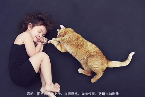 猪年宝宝起名简单独特的女孩名字：温文尔雅