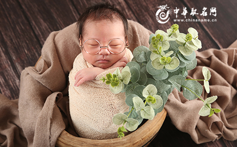 https://www.chinaname.cn/baby/